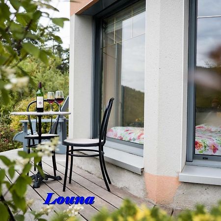 Appartements 5 Personnes Maya Et Louna Xonrupt-Longemer Exterior photo