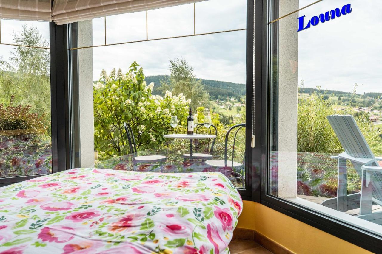 Appartements 5 Personnes Maya Et Louna Xonrupt-Longemer Exterior photo