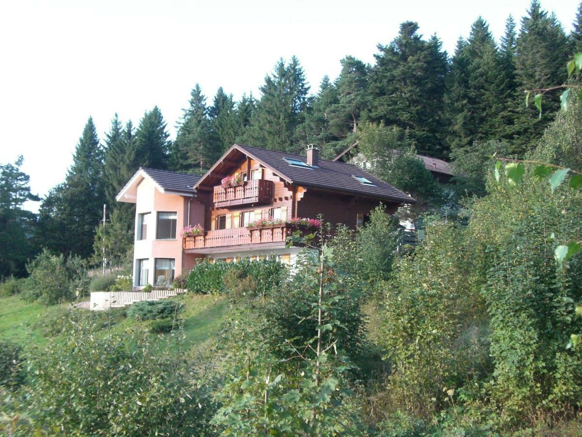 Appartements 5 Personnes Maya Et Louna Xonrupt-Longemer Exterior photo